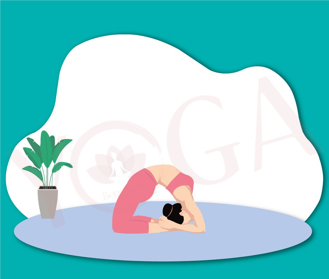 kapotasana